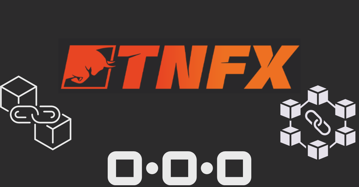 تقييم شركة TNFX تيران فوركس من خبراء التداول 2023