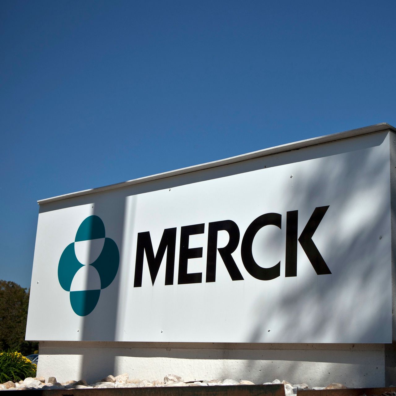 كيفية الاستثمار في أسهم شركة Merck & Co Inc: دليلك نحو عالم الاستثمار الناجح