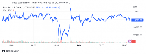 سعر البتكوين (BTCUSD) يحصل على إشارة سلبية – تحليل - 01-02-2023