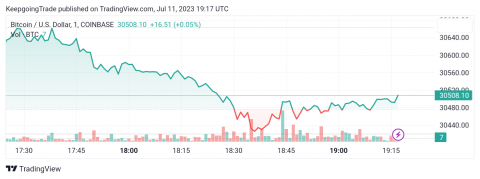 سعر البتكوين (BTCUSD) يختبر المقاومة – تحليل - 11-07-2023