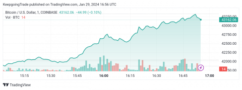 التحديث المسائي لسعر البتكوين (BTCUSD) 29-01-2024