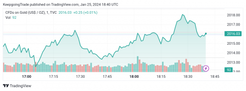 سعر الذهب يهاجم الدعم – تحليل - 25-01-2024