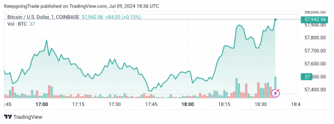 سعر البتكوين (BTCUSD) يظهر تداولات مختلطة – توقعات اليوم 09-07-2024