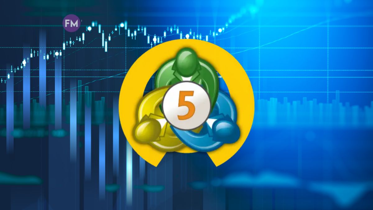 كيف اعمل حساب حقيقي في Metatrader 5