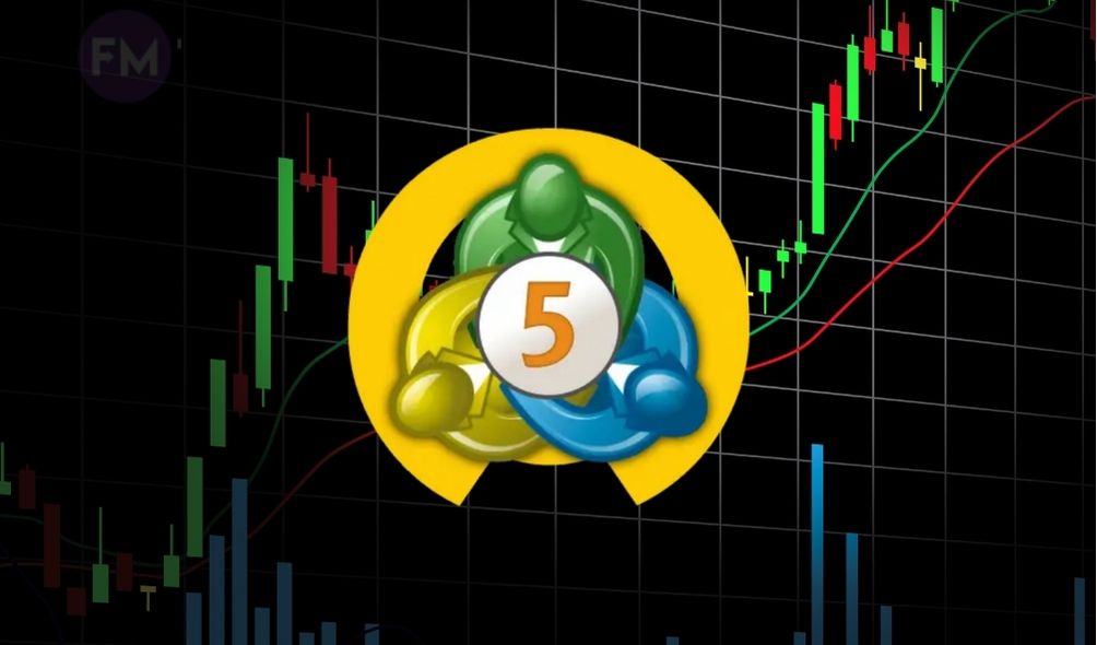 هل يمكنني كسب المال على Metatrader 5