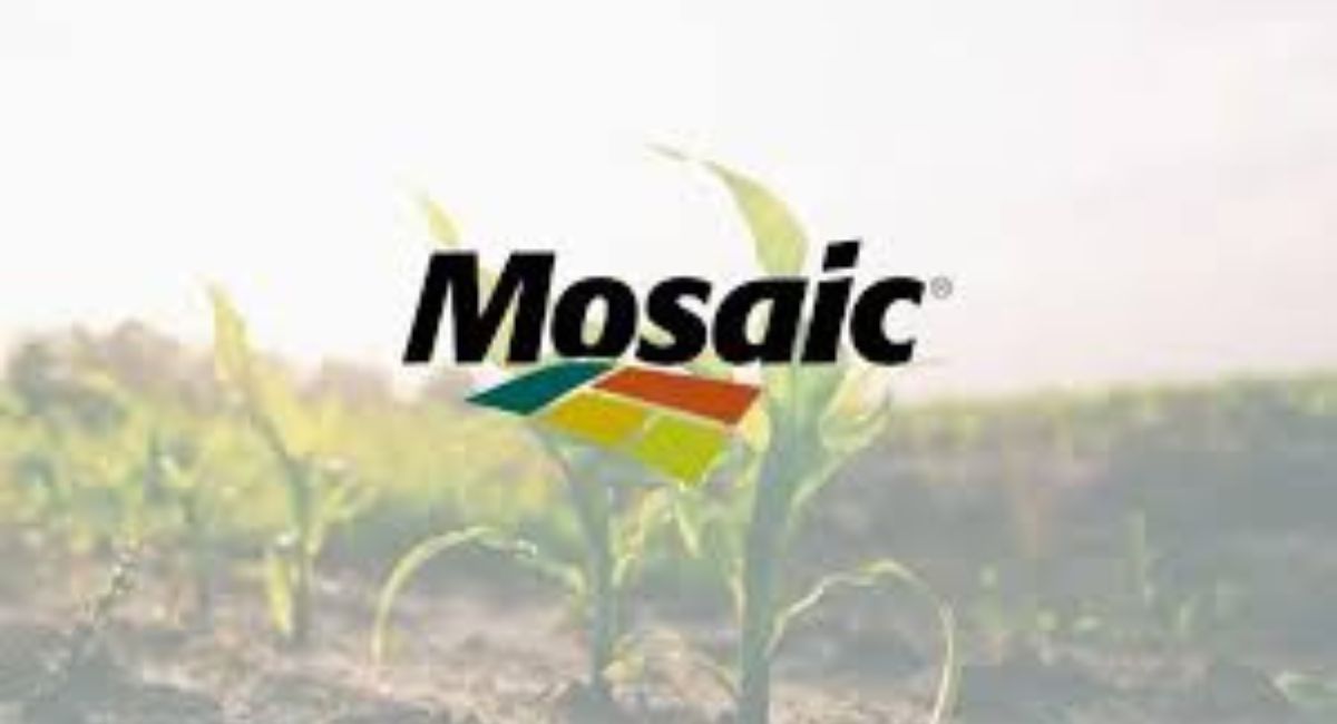 الاستثمار في شركة موزاييك (Mosaic Company)